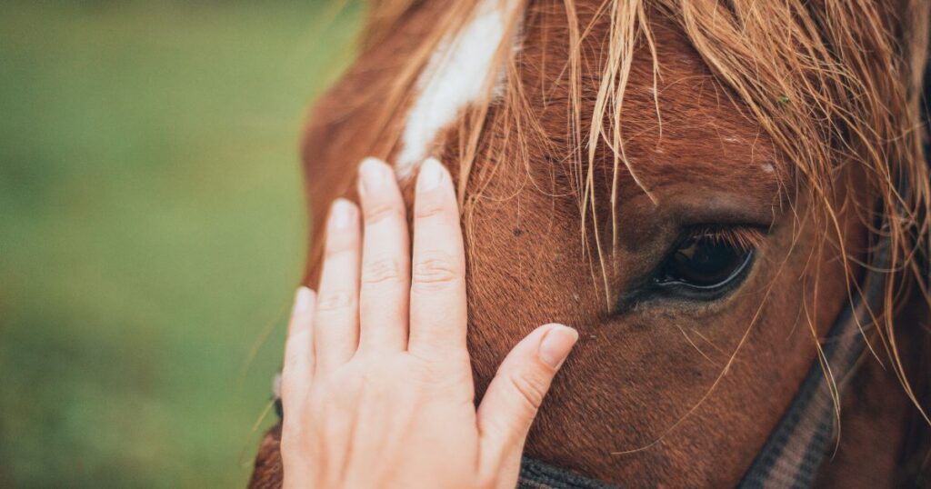 Čím více říkáte "tohle jsem si nevybral, tohle nechci", tím větší tlak kladete proti svému vlastnímu vyššímu Já. Pravda a láska se vrátí ve chvíli, kdy přestanete klást odpor.
