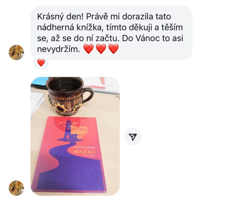Recenze knihy Cesta k mému majáku - Bára Englischová