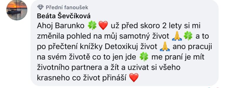 Recenze knihy Detoxikuj život Barbora Englischová