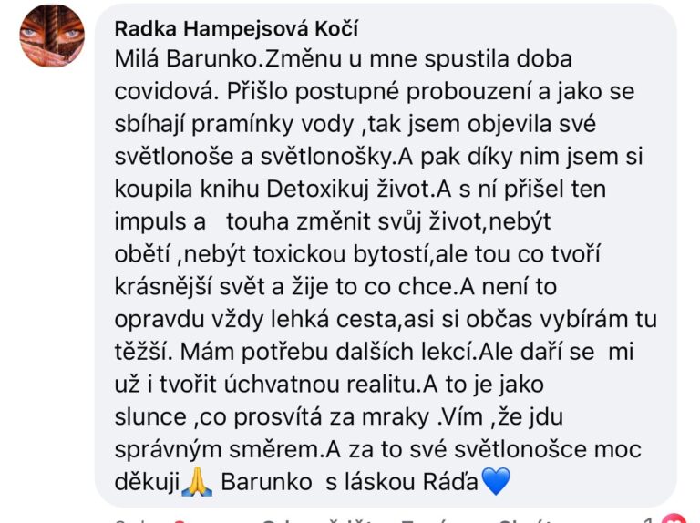 Recenze knihy Detoxikuj život Barbora Englischová