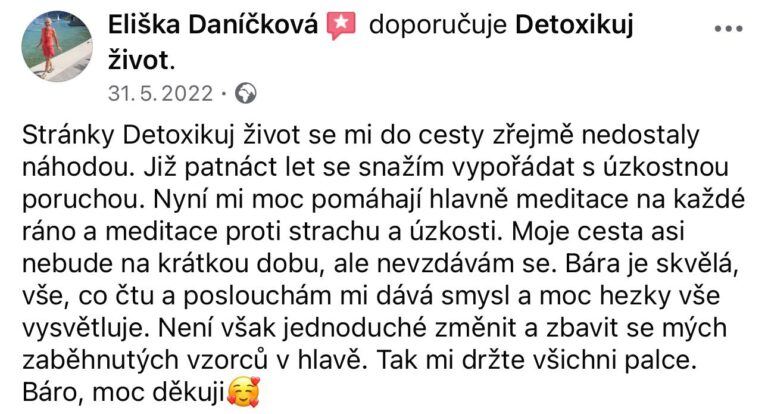 Recenze knihy Detoxikuj život Barbora Englischová