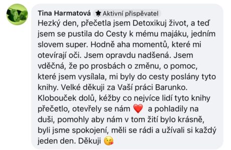 Recenze knihy Barbora Englischová Maják v&nbsp;srdci